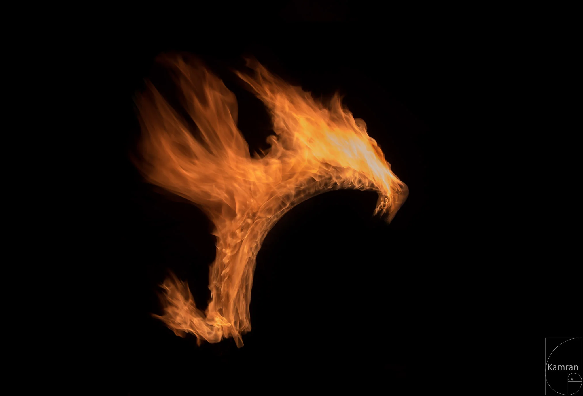 Feuerdrache 10