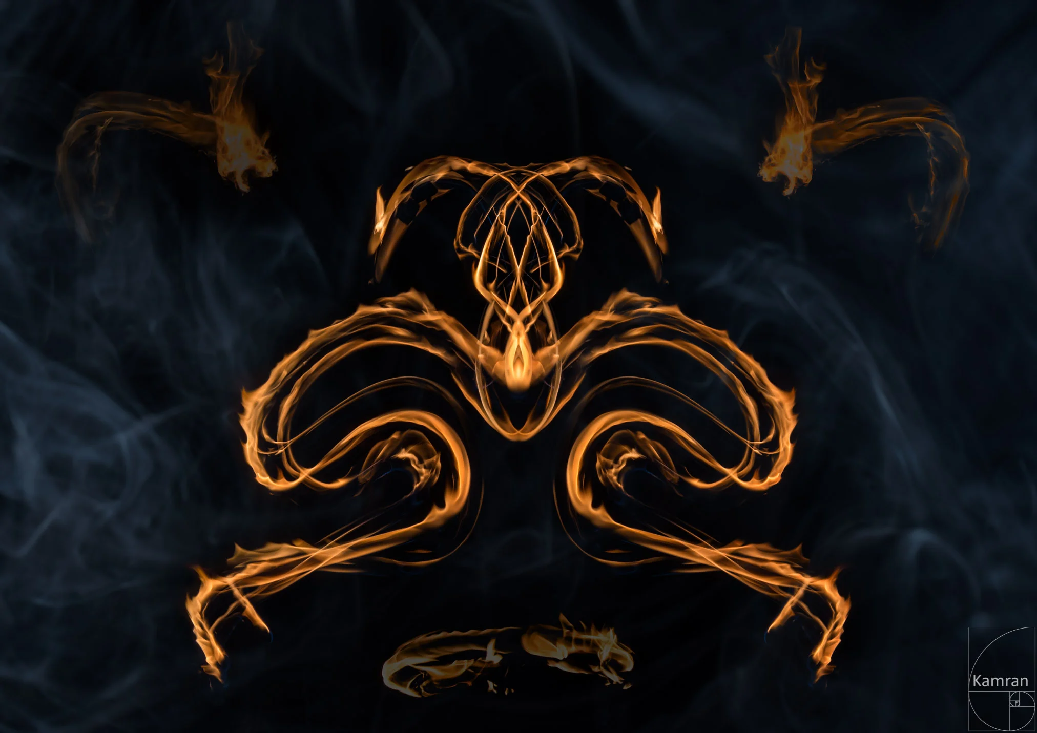 Feuerdrache 14