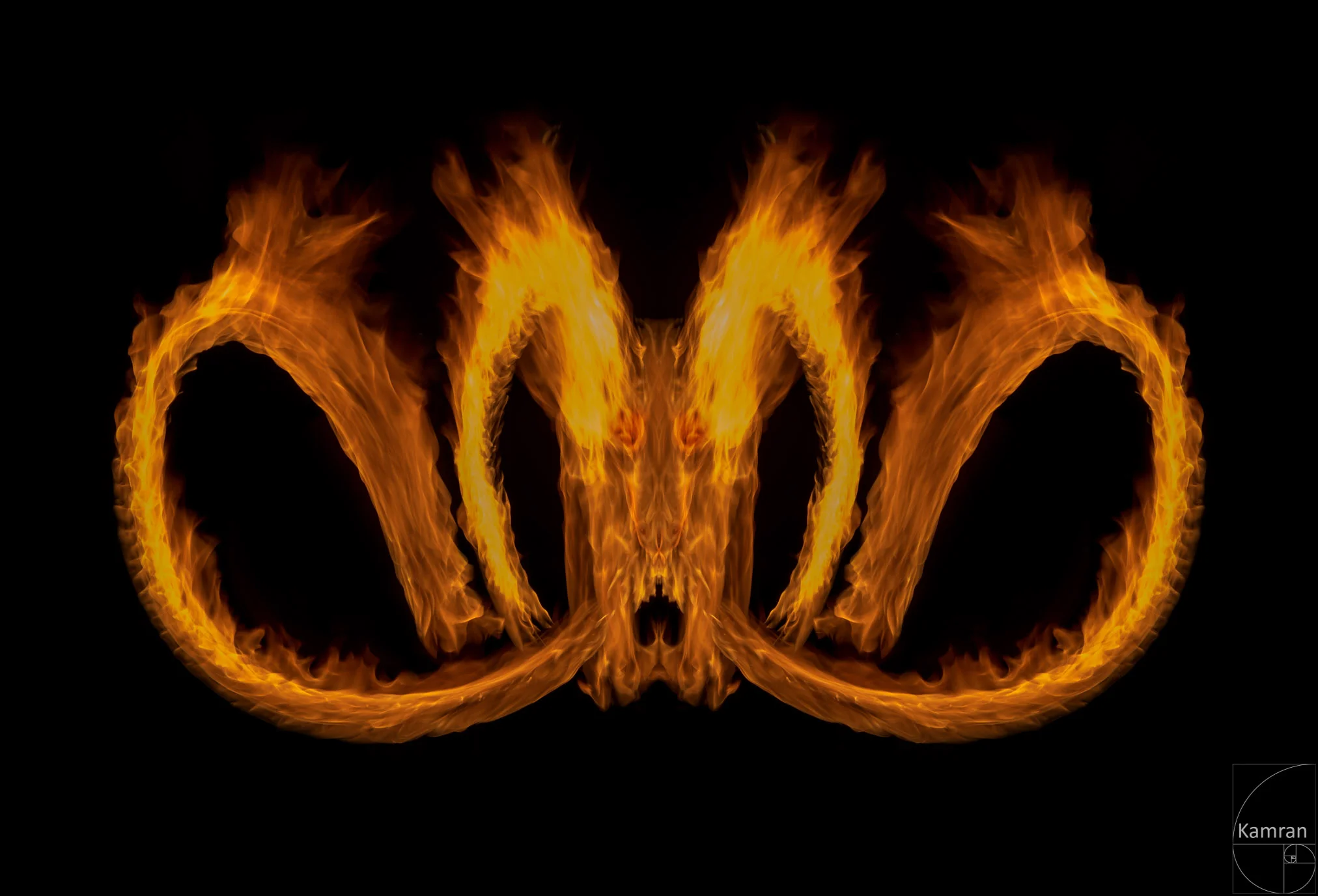 Feuerdrache 17