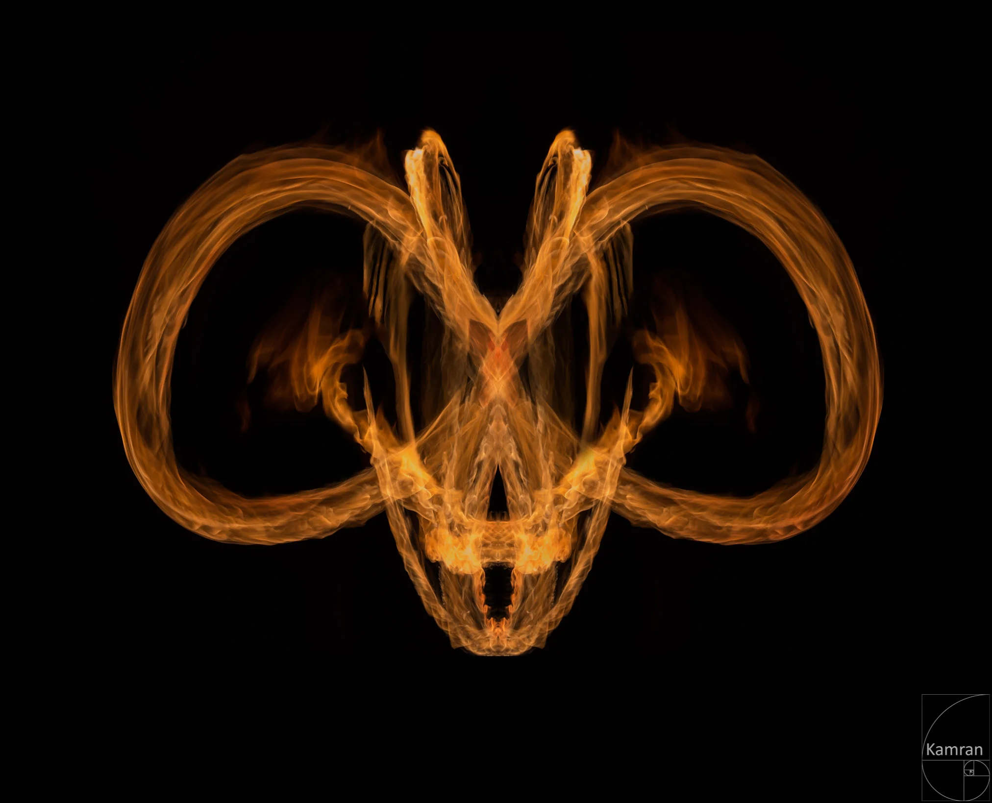 Feuerdrache 21
